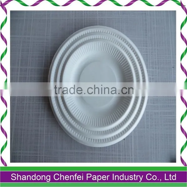 2016 One-off Bagasse Paper Plate and Paper Dish for Sale photo-2