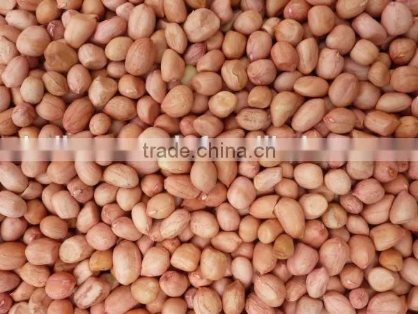 PEANUTS KERNEL JAVA photo-2