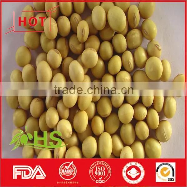 Chinese Dried Cheap Soybeans for Wholesale photo-4