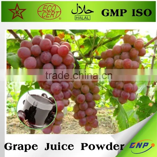Bnp Supplier Fermented Grape Juice Concentrate photo-2