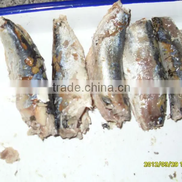 Canned Mackerel in Oil