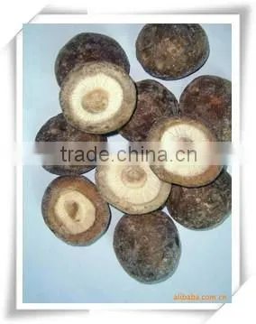 2015 New Crop IQF Frozen Shiitake Mushrooms photo-2