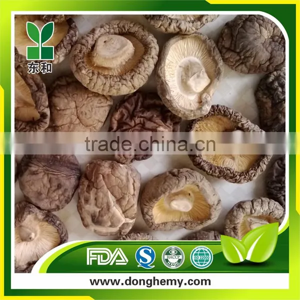 Dried Cut Shiitake Mushroom Price photo-2