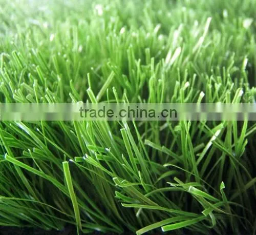 Artificial Grass