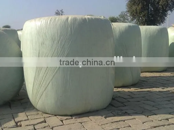 Corn Silage