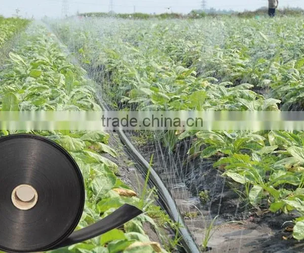 Mobile Sprinkler Irrigation System Water Saving Farm Drip Irrigation Pipe Mirco Sprinkler photo-2