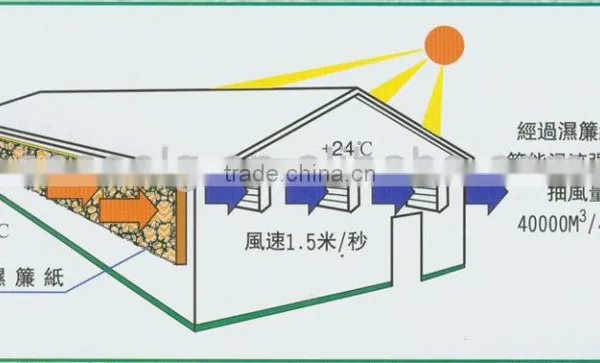 High Quality Evaporative Water Cooling Air Conditioner for Poultry House photo-4