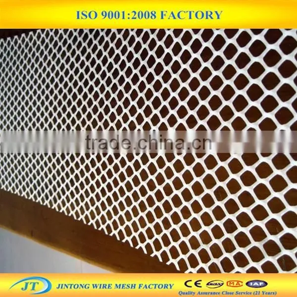 Factory Supply Plastic Chicken Wire Mesh photo-5