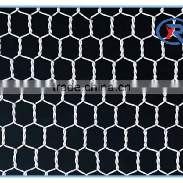 China Lowest Price Galvanized Hexagonal Wire Netting/decorative Chicken Wire Mesh photo-3