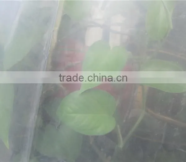 Polyethylene Plastic Film Blowing Machine With Best Price for Greenhouse photo-4
