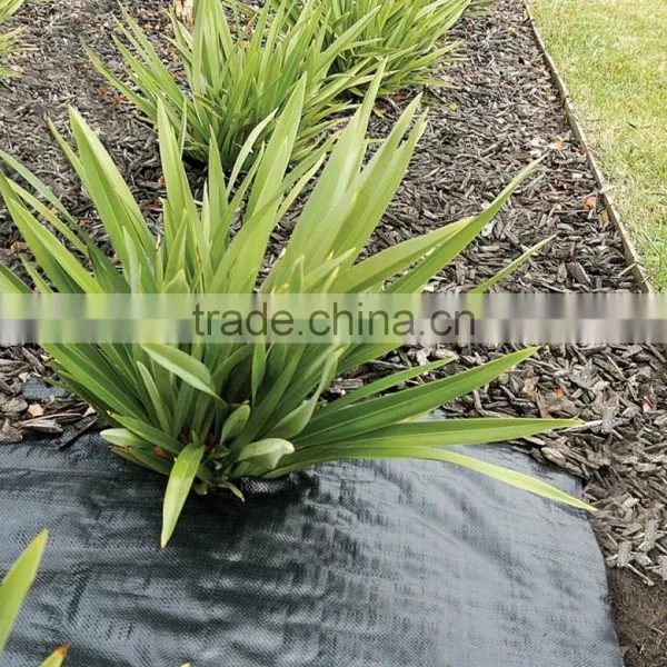 Agricultrual Weed Mat photo-5