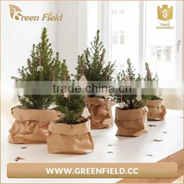 Green Field Washable Kraft Paper Storage Bag Waterproof Planter Bag photo-2