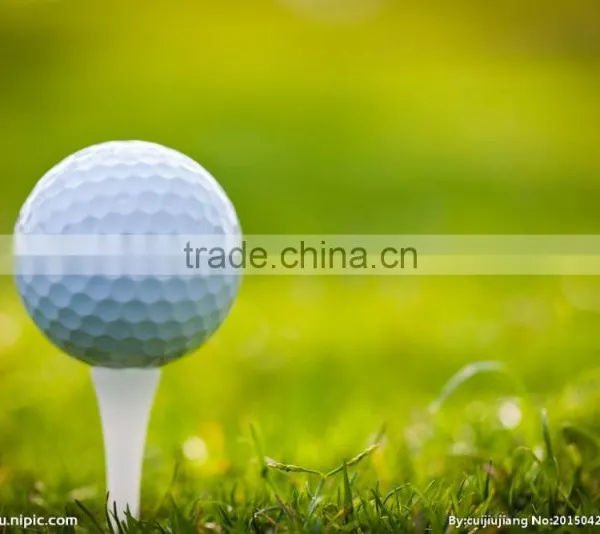 Golf Shoulder Bag for Golf Match photo-4