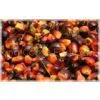 Sell Palm Oil (Non Lauric) Based Product