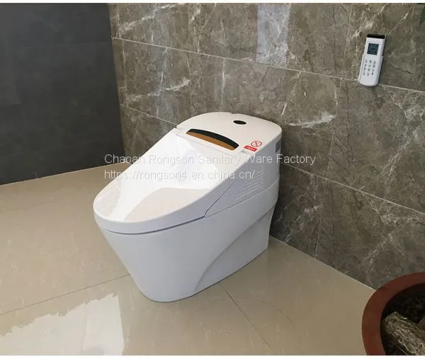China Sanitary Ware Portable Bathroom Modern New Design Gold Intelligent Toilet Seat Cover With All Self-clean System photo-5