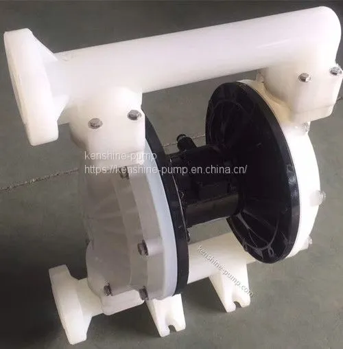 QBK Pneumatic Double Membrane Pump photo-2