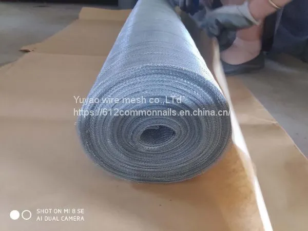 Square Wire Mesh 30M photo-3