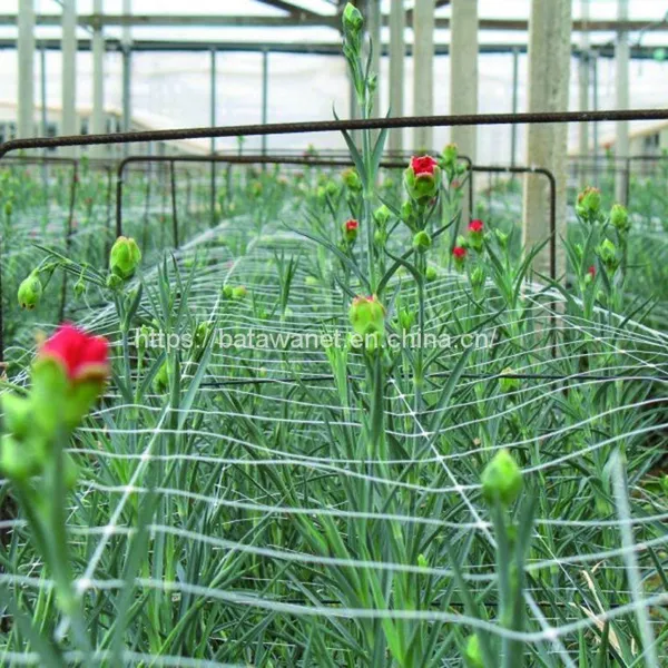 Tomato Support Mesh Climbing Net For Plant Scrog White Plant Support Net photo-4