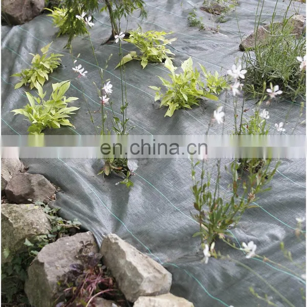 White Weed Mat Ground Cover In Agriculture Vegetable Garden photo-5