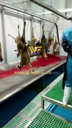 Sheep Slaughtering Equipment Goat Slaughter Production Line photo-2