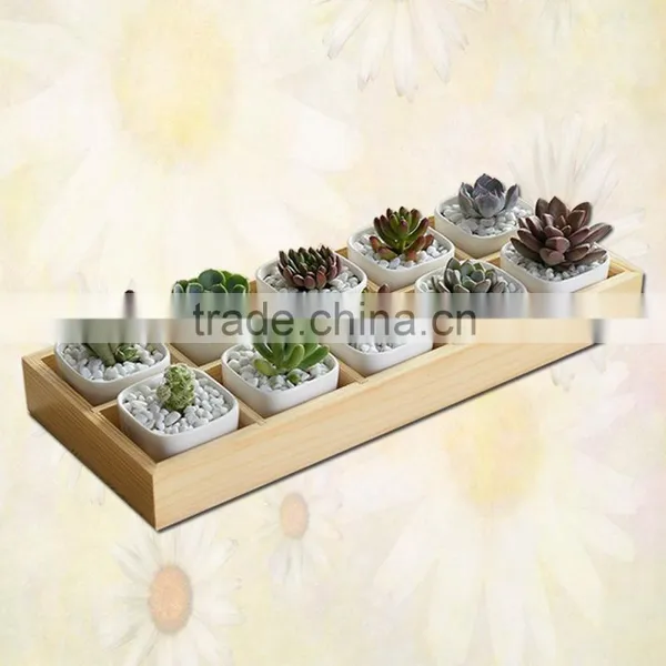 Wooden Planter Box Succulent Plants in Pots photo-2