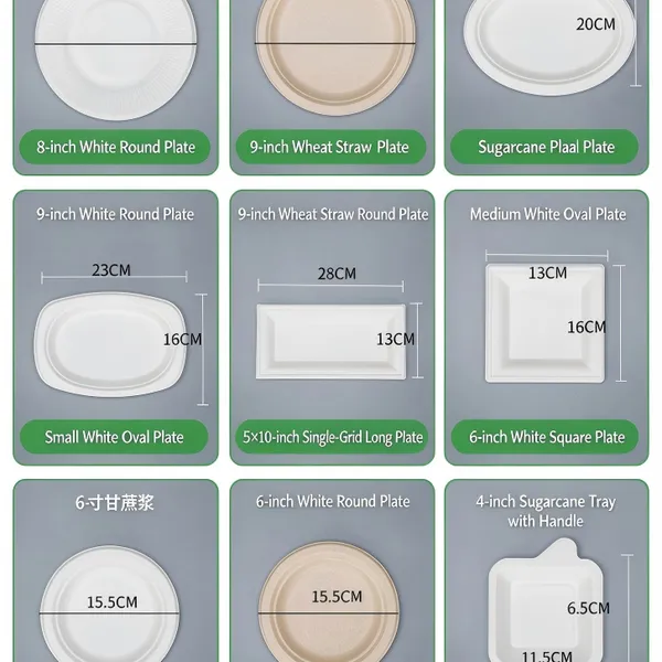 6-12 Inch Bagasse Pulp Molded Round Plate, Disposable Compostable Tableware, Waterproof, Oil-Proof, Microwave Safe, Freezer Safe photo-4