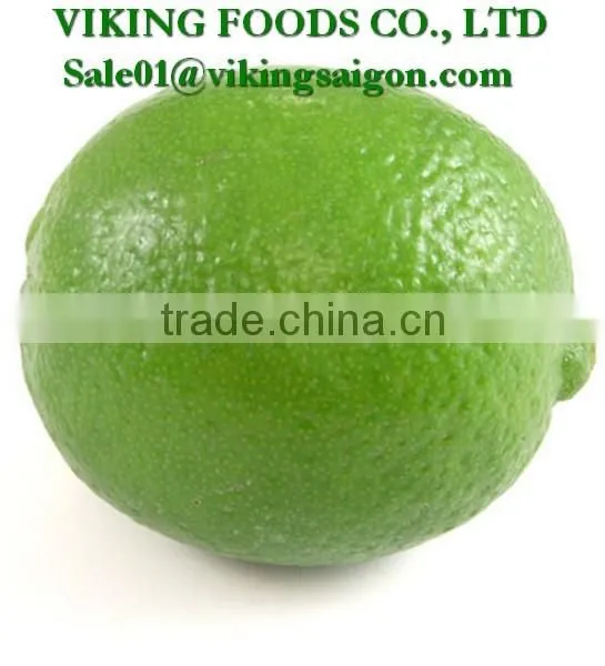 FROZEN SEEDLESS LIME _ HIGHT QUALITY _ GOOD PRICE photo-4