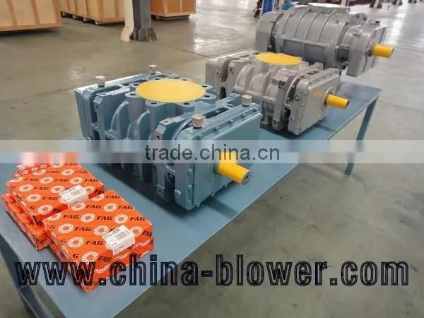 China Professional Roots Air Blower photo-4