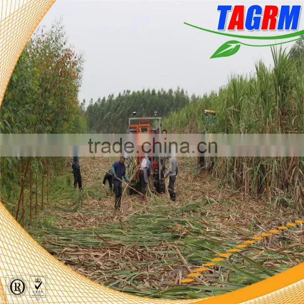 Multifunctuion Sugarcane Leaf Peelingmachine /sugarcane Leaf Removing Machine/sugar Cane Leaf Peeler photo-3