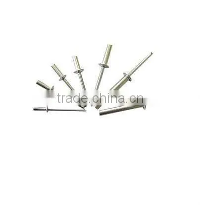 Stainless Steel Rivet