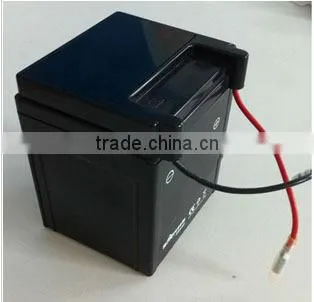 Motorcycle Battery
