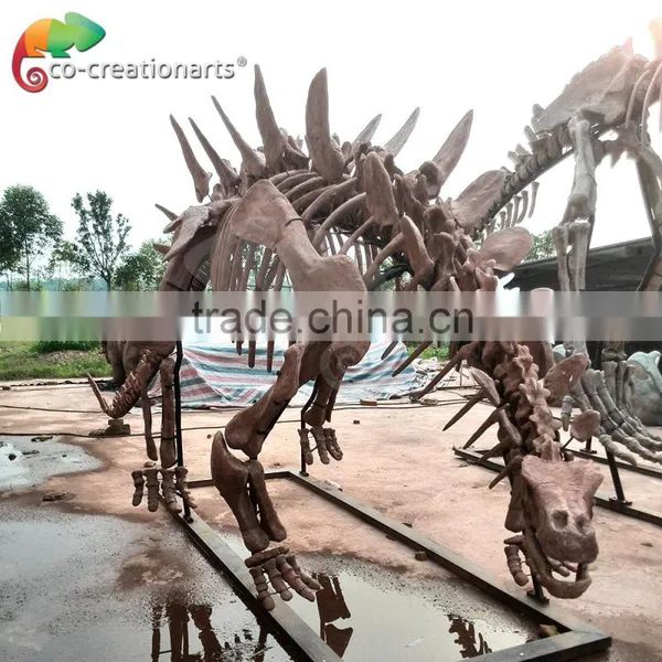 High Simulation Fiberglass Skeleton Model of Dinosaur photo-5