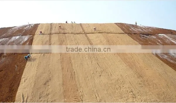 Coir Geotextiles photo-6