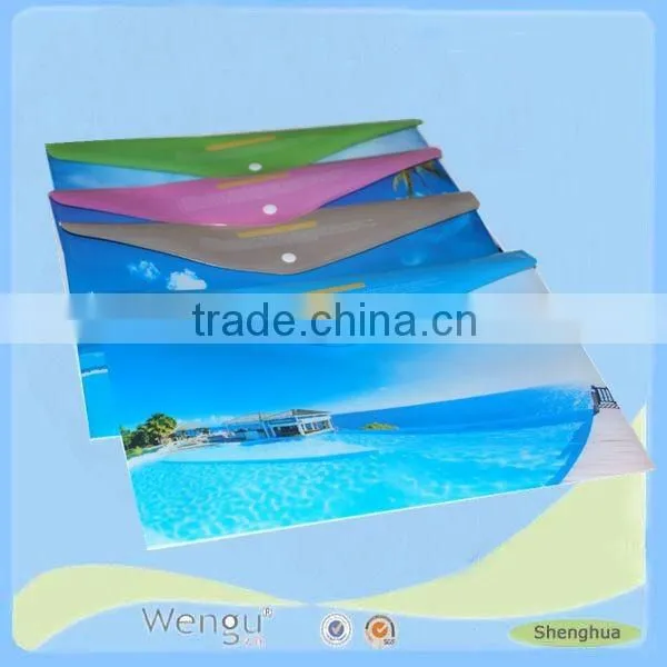 Newly Cardboard Plastic Press Button File Folder/plastic a4 pp Wallet File Folder