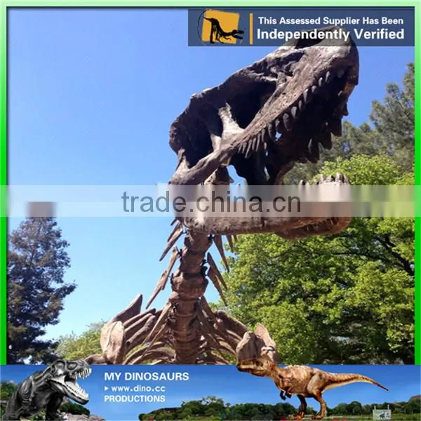 MY Dino-C074 Dinosaur Park Articulated Skeleton Models photo-5
