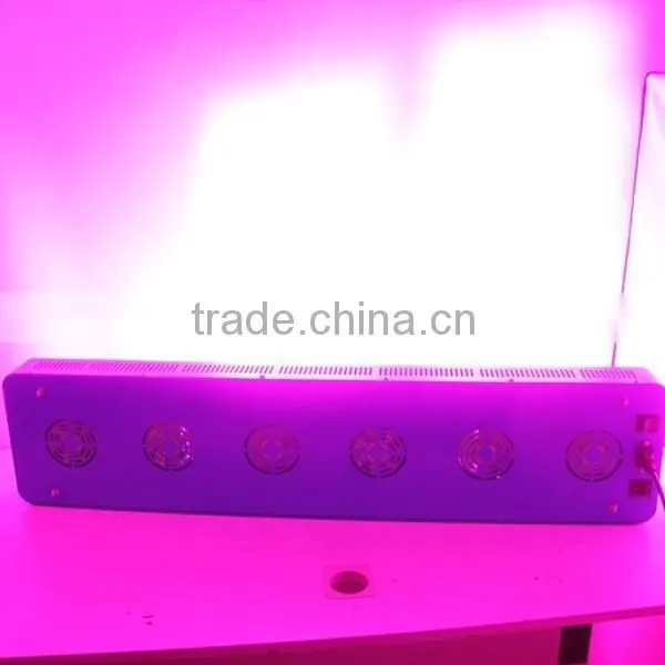 High Power Led Grow Light 5 Watt * 200 1000w 11 Band Led Grow Light photo-4