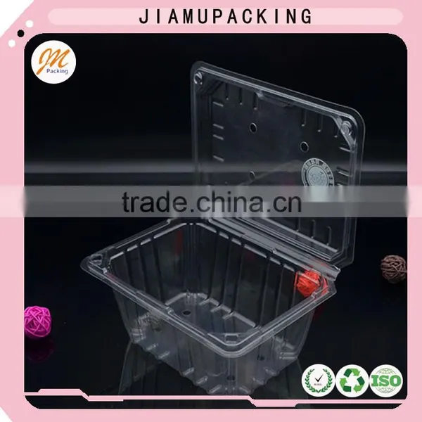 Wholesale Plastic 1 kg Tomato Boxes photo-2