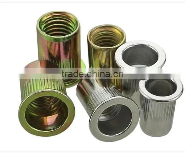Rivet Nut/blind Rivet Nut/stainless Steel Rivet Nut photo-4