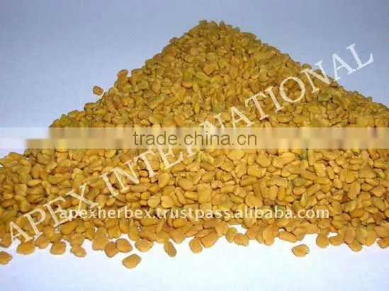 Fenugreek Seeds photo-2