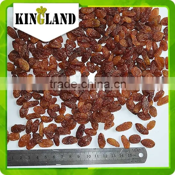 Dry Fruits Black Dried Red Raisins Price photo-5