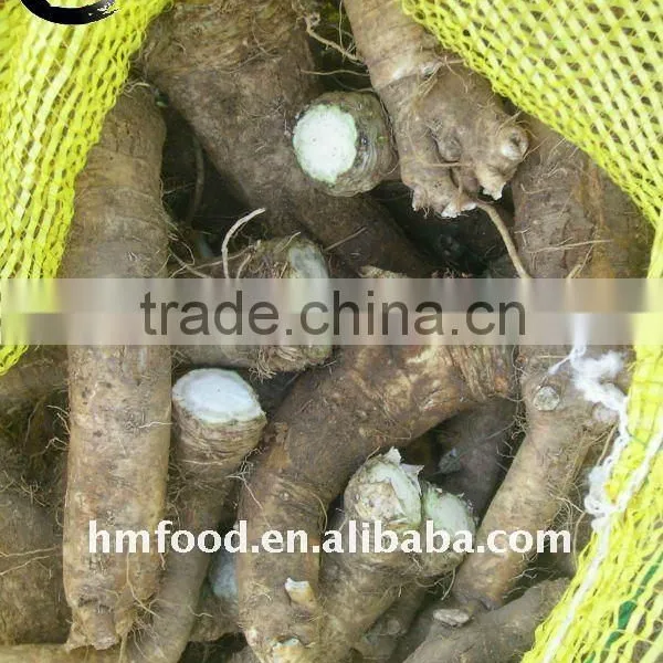Fresh Horseradish