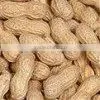 Peanuts photo-5