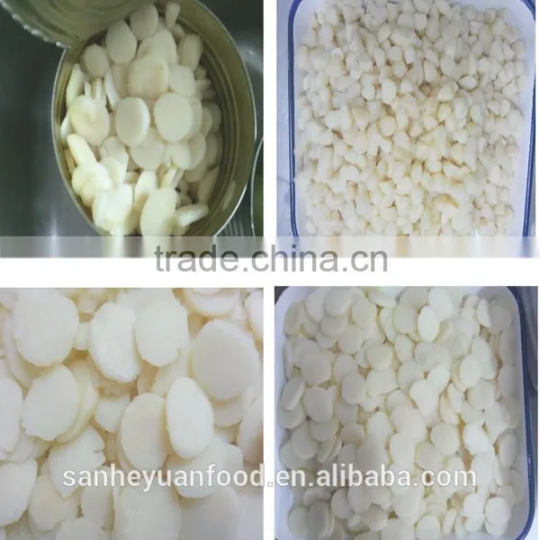 High Quality Canned Water Chestnut photo-2