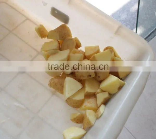 Large Capacity Vegetable Cutter Cutting Machine Vegetable and Fruit Dicing Machine photo-6