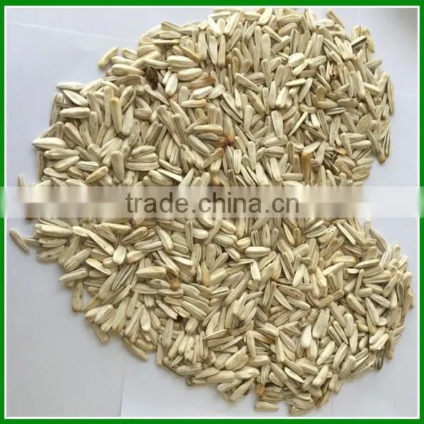 Sale Best Quality Raw White Sunflower Seeds In Bulk For Human Consumption photo-3