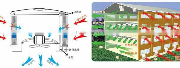 Poultry Stainless Steel Fabrication Manure Cleaning Machine photo-5