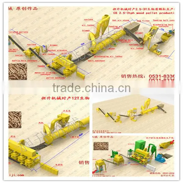 CS CE Approved Professional Complete EFB Pellet Line for Sale