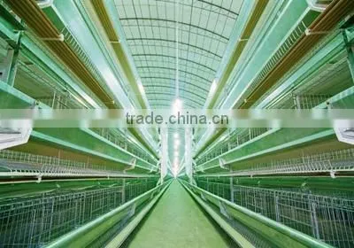 Poultry Equipment