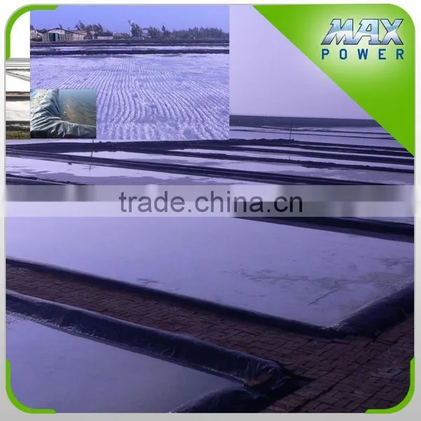 New Arrival Plastic Film Greenhouse Agriculture photo-3