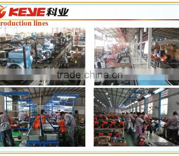 Best Quality Gasoline Engine 173F 1/2R for Agricultural Machine photo-3
